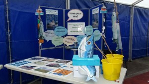 newquay-fish-festival-2016